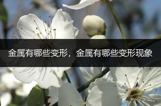 金属有哪些变形，金属有哪些变形现象