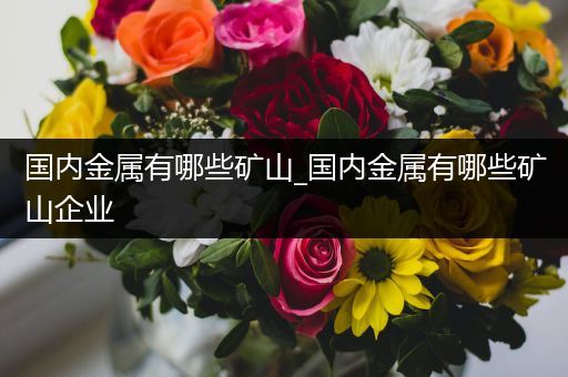 国内金属有哪些矿山_国内金属有哪些矿山企业