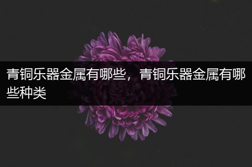青铜乐器金属有哪些，青铜乐器金属有哪些种类