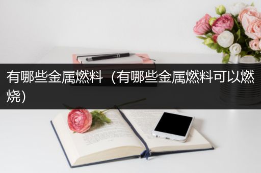 有哪些金属燃料（有哪些金属燃料可以燃烧）