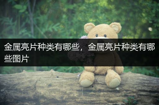 金属亮片种类有哪些，金属亮片种类有哪些图片