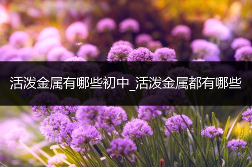 活泼金属有哪些初中_活泼金属都有哪些