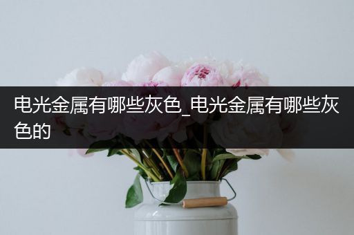 电光金属有哪些灰色_电光金属有哪些灰色的