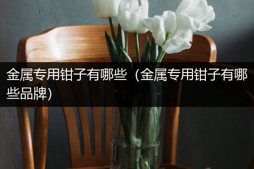金属专用钳子有哪些（金属专用钳子有哪些品牌）