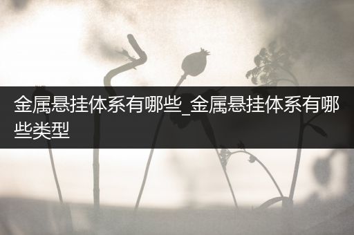 金属悬挂体系有哪些_金属悬挂体系有哪些类型