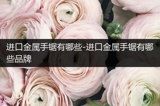进口金属手锯有哪些-进口金属手锯有哪些品牌