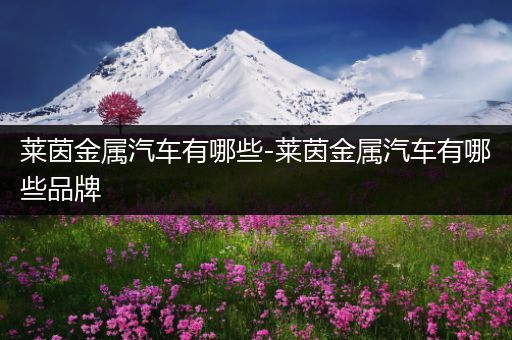 莱茵金属汽车有哪些-莱茵金属汽车有哪些品牌
