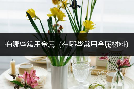 有哪些常用金属（有哪些常用金属材料）