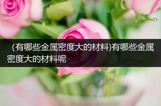（有哪些金属密度大的材料)有哪些金属密度大的材料呢