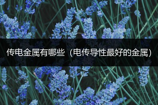 传电金属有哪些（电传导性最好的金属）