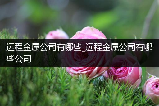 远程金属公司有哪些_远程金属公司有哪些公司