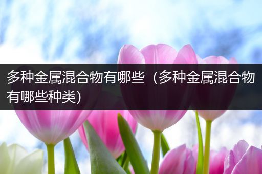 多种金属混合物有哪些（多种金属混合物有哪些种类）