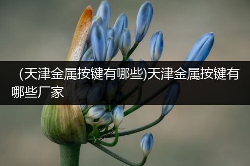 （天津金属按键有哪些)天津金属按键有哪些厂家