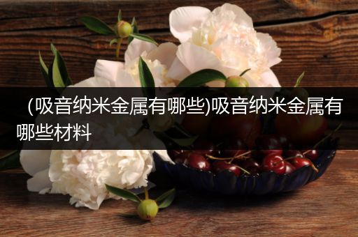 （吸音纳米金属有哪些)吸音纳米金属有哪些材料