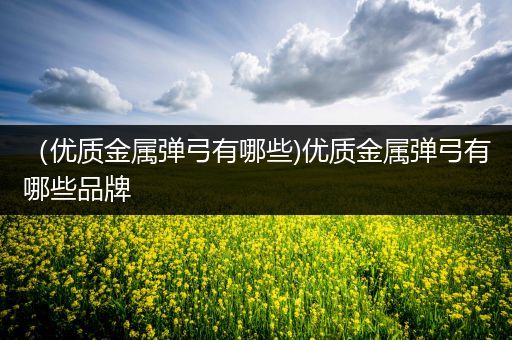 （优质金属弹弓有哪些)优质金属弹弓有哪些品牌