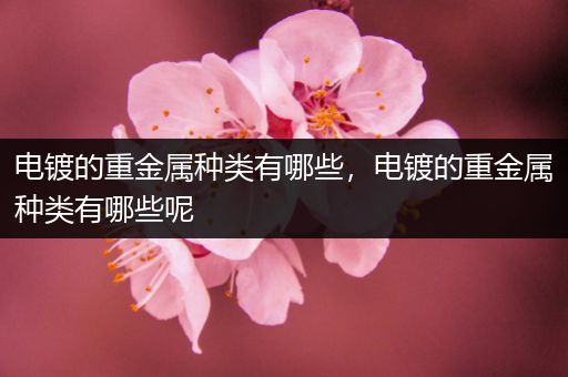 电镀的重金属种类有哪些，电镀的重金属种类有哪些呢
