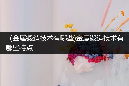 （金属锻造技术有哪些)金属锻造技术有哪些特点