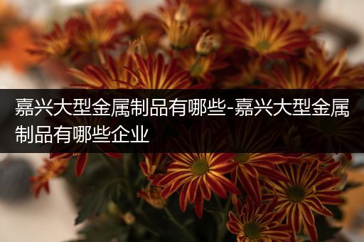 嘉兴大型金属制品有哪些-嘉兴大型金属制品有哪些企业