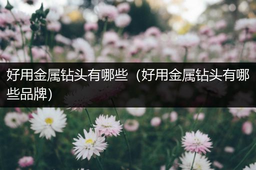 好用金属钻头有哪些（好用金属钻头有哪些品牌）