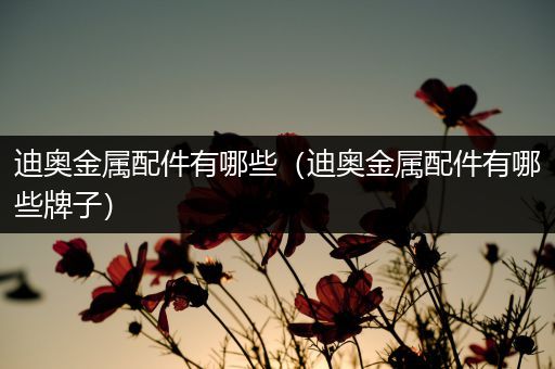 迪奥金属配件有哪些（迪奥金属配件有哪些牌子）