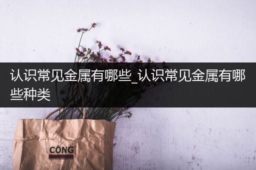 认识常见金属有哪些_认识常见金属有哪些种类