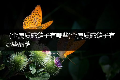 （金属质感链子有哪些)金属质感链子有哪些品牌