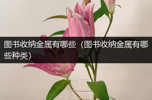 图书收纳金属有哪些（图书收纳金属有哪些种类）
