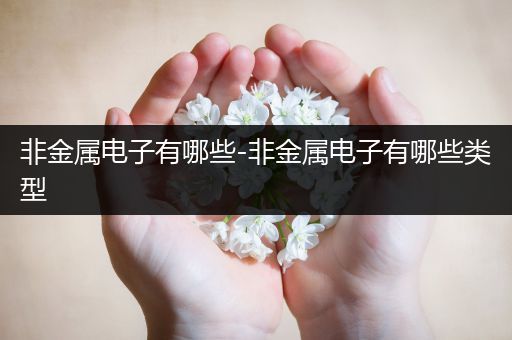 非金属电子有哪些-非金属电子有哪些类型