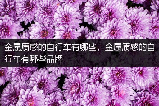 金属质感的自行车有哪些，金属质感的自行车有哪些品牌