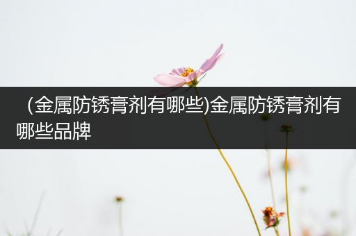 （金属防锈膏剂有哪些)金属防锈膏剂有哪些品牌