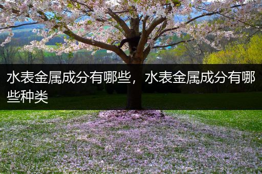 水表金属成分有哪些，水表金属成分有哪些种类