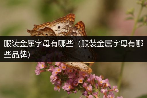 服装金属字母有哪些（服装金属字母有哪些品牌）