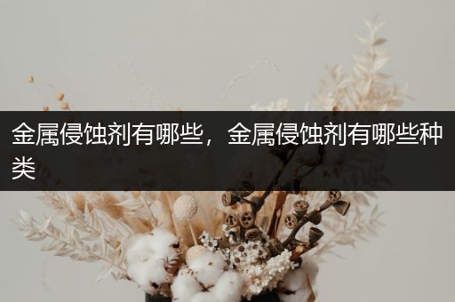 金属侵蚀剂有哪些，金属侵蚀剂有哪些种类