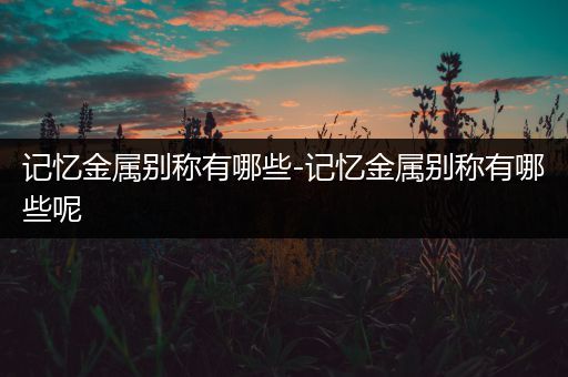 记忆金属别称有哪些-记忆金属别称有哪些呢