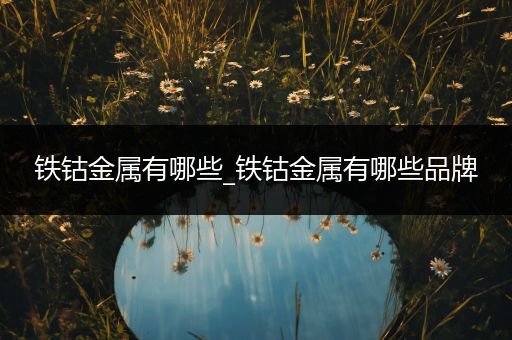 铁钴金属有哪些_铁钴金属有哪些品牌