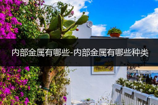 内部金属有哪些-内部金属有哪些种类