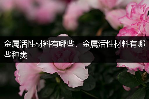 金属活性材料有哪些，金属活性材料有哪些种类