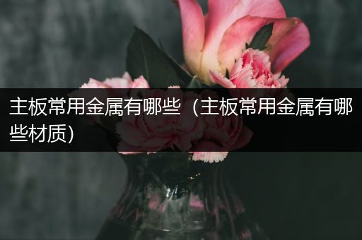 主板常用金属有哪些（主板常用金属有哪些材质）