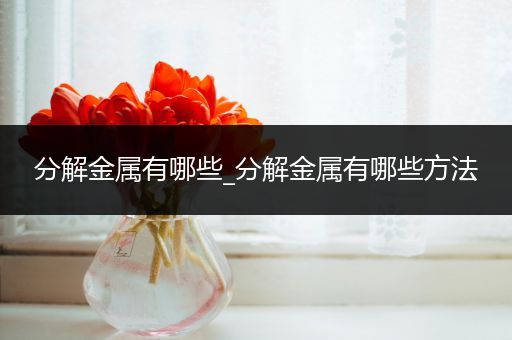 分解金属有哪些_分解金属有哪些方法