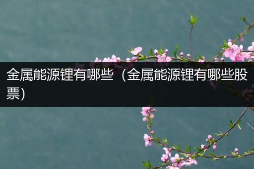 金属能源锂有哪些（金属能源锂有哪些股票）