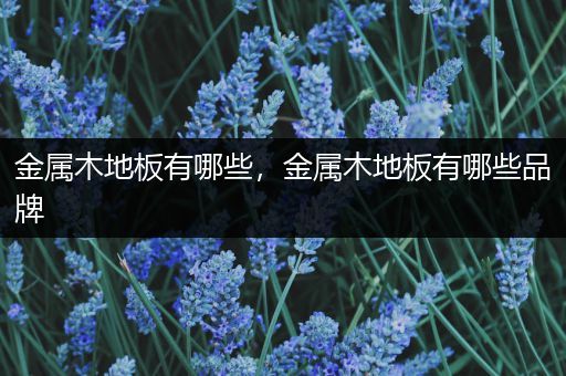金属木地板有哪些，金属木地板有哪些品牌