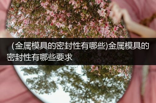 （金属模具的密封性有哪些)金属模具的密封性有哪些要求