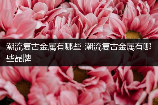 潮流复古金属有哪些-潮流复古金属有哪些品牌