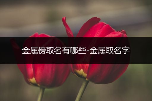 金属傍取名有哪些-金属取名字