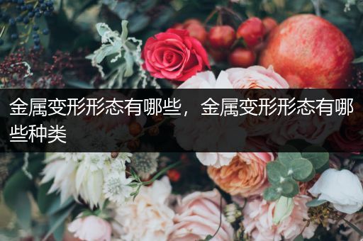 金属变形形态有哪些，金属变形形态有哪些种类