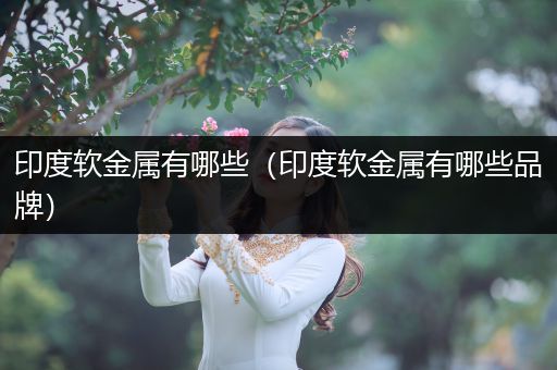 印度软金属有哪些（印度软金属有哪些品牌）