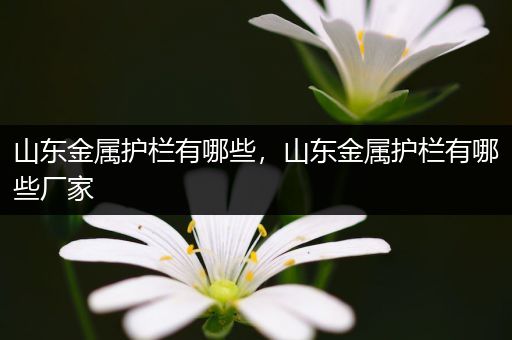 山东金属护栏有哪些，山东金属护栏有哪些厂家
