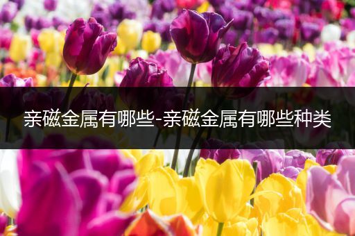 亲磁金属有哪些-亲磁金属有哪些种类