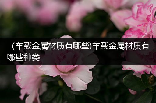 （车载金属材质有哪些)车载金属材质有哪些种类