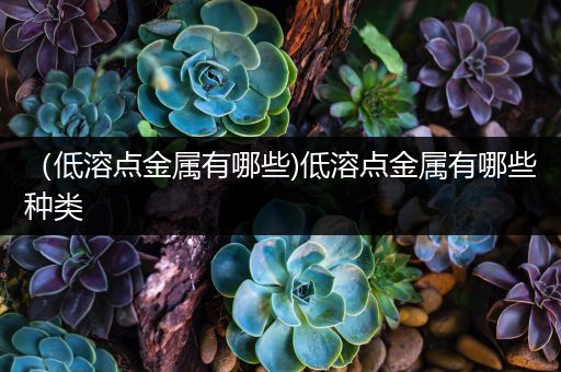 （低溶点金属有哪些)低溶点金属有哪些种类